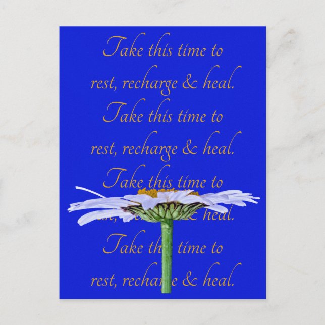 White Daisy Flower on Blue Canvas Time to Heal Postcard (Front)