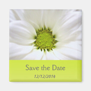 white daisy flower weddings magnet