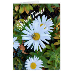 White Daisy Flower with a Bee Rosh Hashanah Card