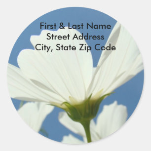 White Daisy Flowers Address Labels Blue Sky
