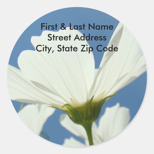 White Daisy Flowers Address Labels Blue Sky (Front)