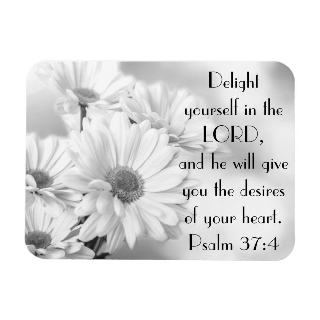 White daisy flowers bible verse Psalm 37:4 Magnet (Horizontal)