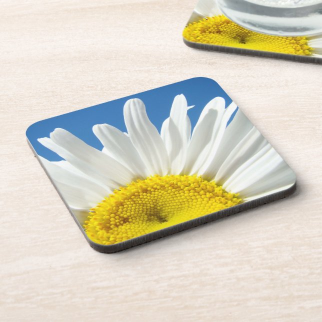 White Daisy Flowers cork coasters Entertaining (Left Side)