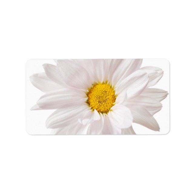 White Daisy Flowers Daisies Flower Floral Template Label (Front)