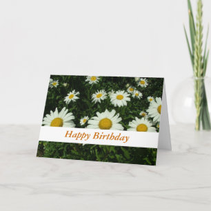 white daisy flowers happy birthday card
