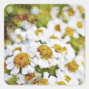 White Daisy Flowers - Painting Art Sticker