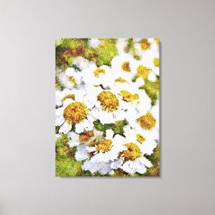 White Daisy Flowers - Painting Art Wrapped Canvas