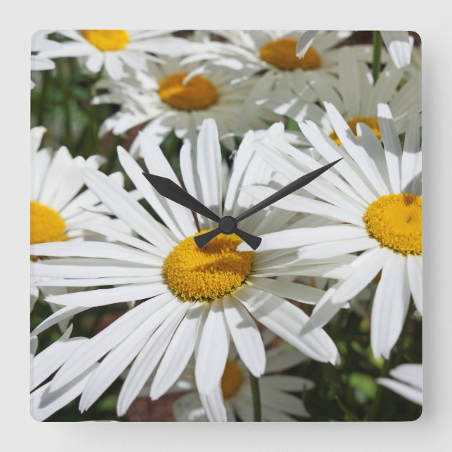 White Daisy Flowers Wall Clocks unique custom (Front)
