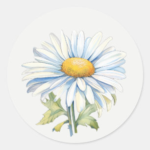 White Daisy Garden Flower Floral art Classic Round Sticker