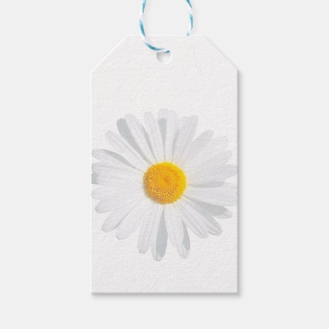 white daisy gift tags (Front)