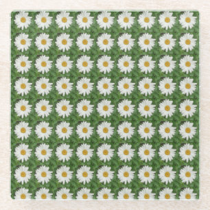 White Daisy Glass Coaster