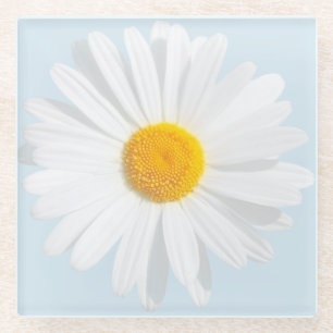 white daisy glass coaster