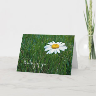 White Daisy In Grass Thinking of You Card