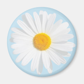 white daisy magnet