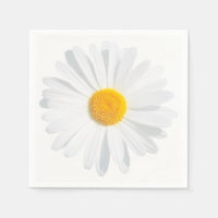 white daisy