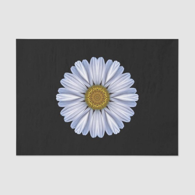White Daisy on Black Background Tissue Paper (Front)