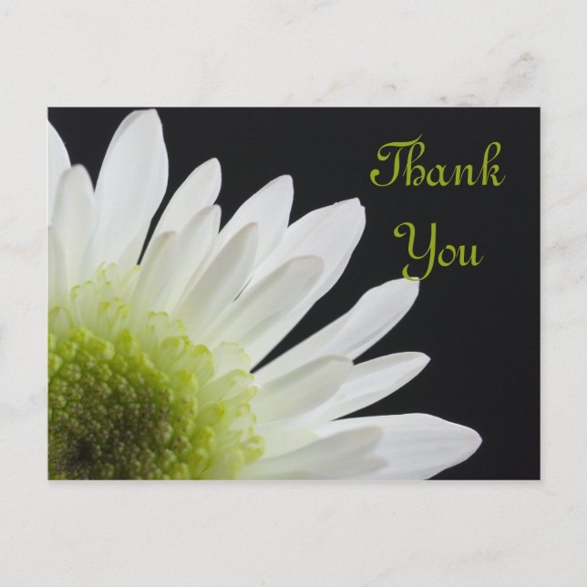 White Daisy on Black Thank You Postcard (Front)