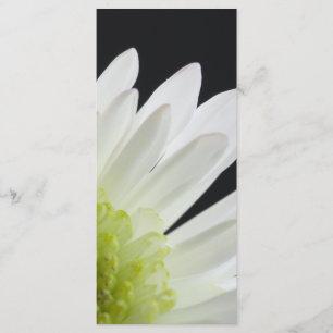 White Daisy on Black Wedding Program Programme