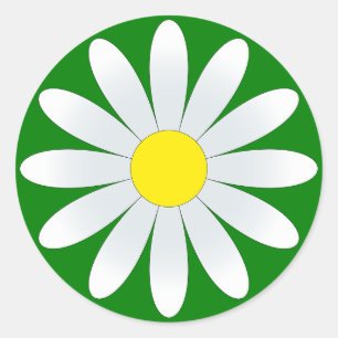 White Daisy on Green Classic Round Sticker