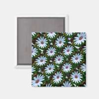 White Daisy Pattern