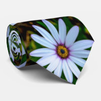 White Daisy Pattern