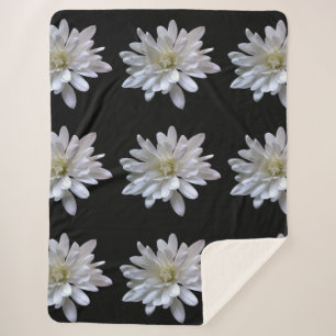White daisy pattern white flowers sherpa blanket