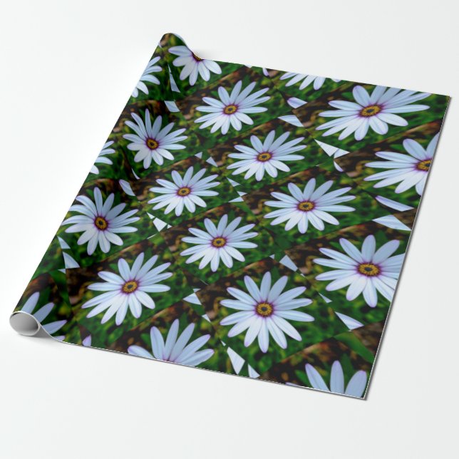 White Daisy Pattern Wrapping Paper (Unrolled)