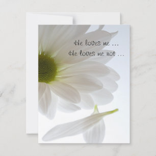White Daisy Petals Engagement Announcement