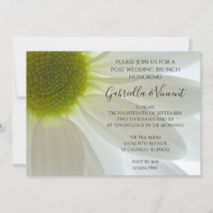 White Daisy Petals Post Wedding Brunch Invitation