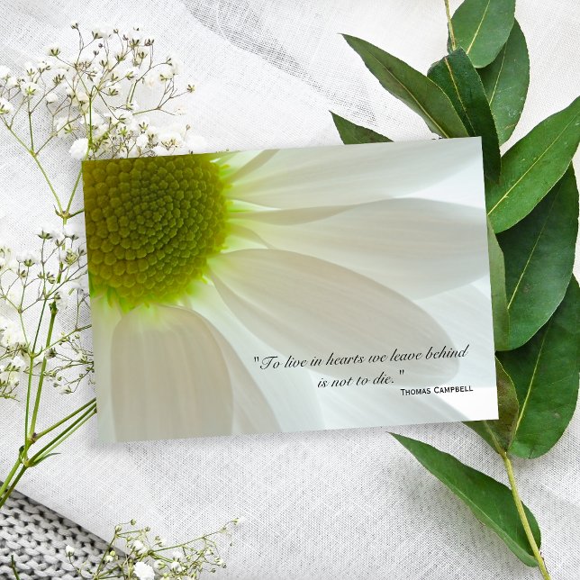 White Daisy Petals Thank You for Your Sympathy Card (Creator Uploaded)