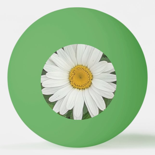 White Daisy Ping Pong Ball (Front)