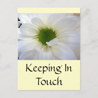 White Daisy Postcard