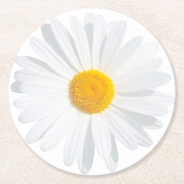 white daisy round paper coaster (Front)