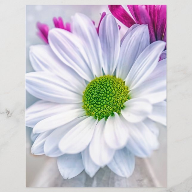 White Daisy Scrapbook Paper (Front)