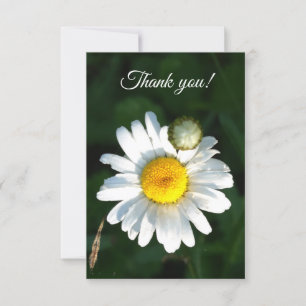 White Daisy Text Thank You Card