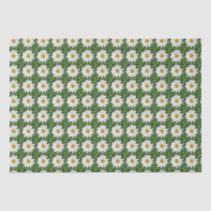 White Daisy Tissue Paper