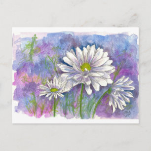 White Daisy Watercolor Flowers Blue Postcard