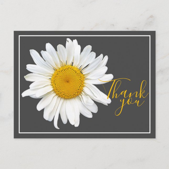White Daisy Yellow Centre Grey Backdrop Thank You Postcard (Front)