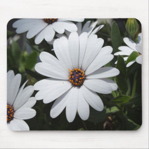 White Daisy's in Bloom Mouse Mat