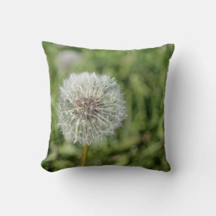 White dandelion flower on green grass cushion