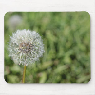 White dandelion flower on green grass mouse mat