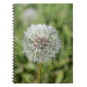 White dandelion flower on green grass notebook