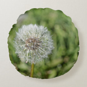 White dandelion flower on green grass round cushion