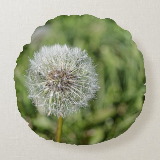 White dandelion flower on green grass round cushion (Front)