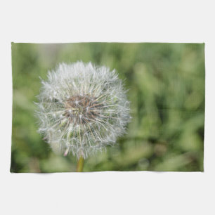 White dandelion flower on green grass tea towel