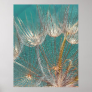 White dandelion in close up photography poster