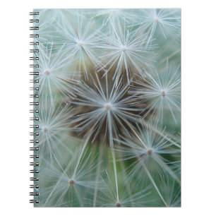 White Dandelion Notebook