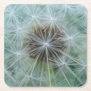 White dandelion pattern square paper coaster