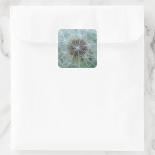 White dandelion pattern square sticker