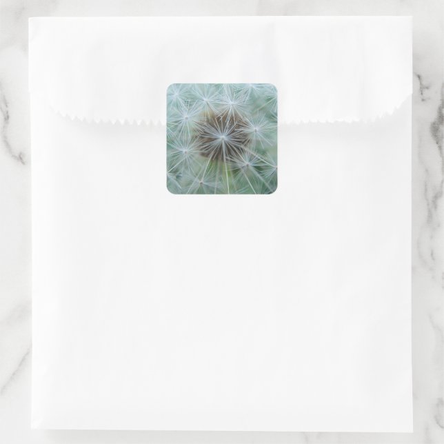 White dandelion pattern square sticker (Bag)